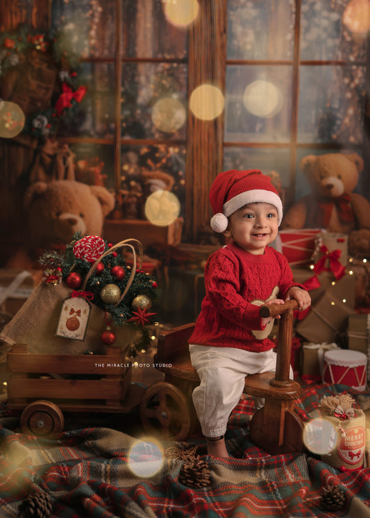 Baby Cycle With trolly