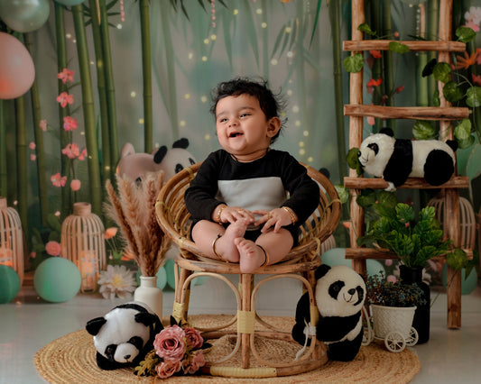 Cane Willow Chair
