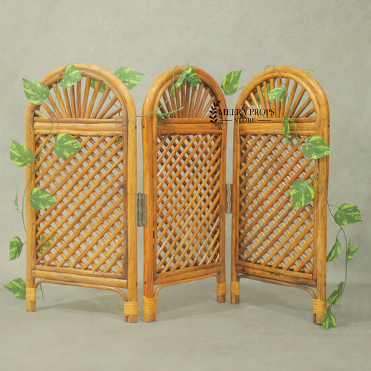 Cane Window Partition